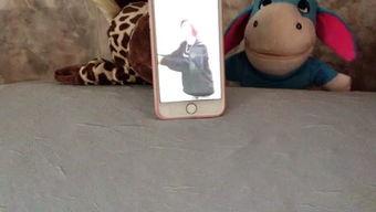 吃瓜娱乐音乐盒,一场听觉与视觉的盛宴