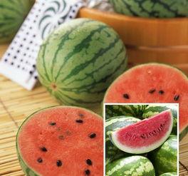 娱乐早吃瓜,揭秘明星幕后故事