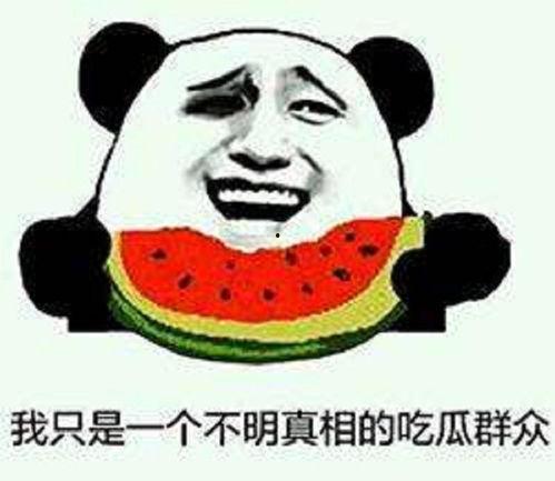 勤勤娱乐吃瓜,勤勤娱乐吃瓜大揭秘