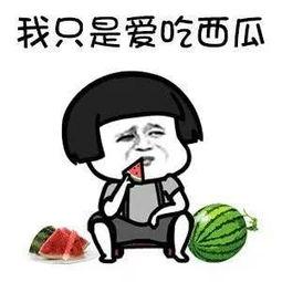 娱乐吃瓜718快乐,娱乐吃瓜盛宴，揭秘娱乐圈幕后故事