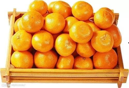 橘子娱乐吃瓜队,揭秘娱乐圈幕后风云