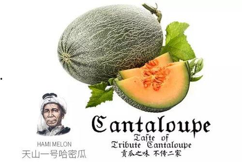 娱乐吃瓜设计理念是什么,揭秘娱乐圈幕后故事，带你领略趣味横生的娱乐圈生态