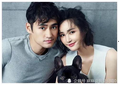 娱乐圈吃瓜爆料小兔子